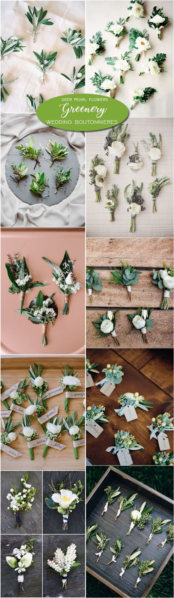 Greenery botanical groom wedding boutonnieres