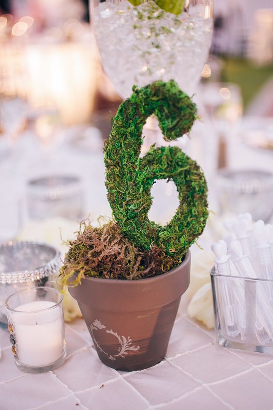 Moss Table Numbers via Full Spectrum Photography