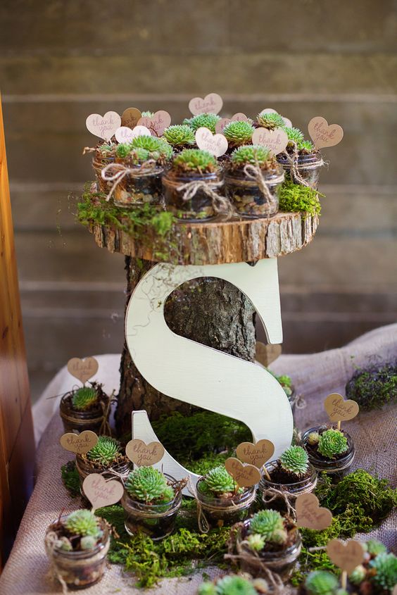 Rustic Potted Succulent Wedding Favors - Studio Phrené