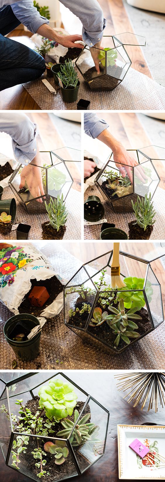 Try a zinc and glass terrarium for a succulent display on your coffee table
