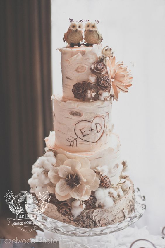 rustic birch wedding cake with little owl cake topper
