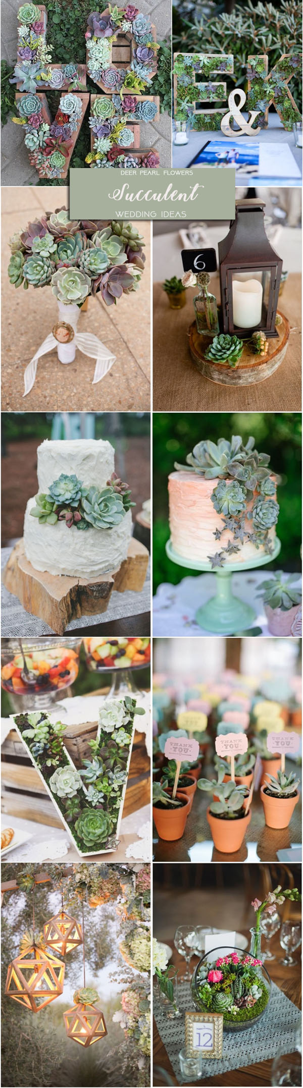 Rustic green garden wedding ideas - succulent wedding theme decor ideas