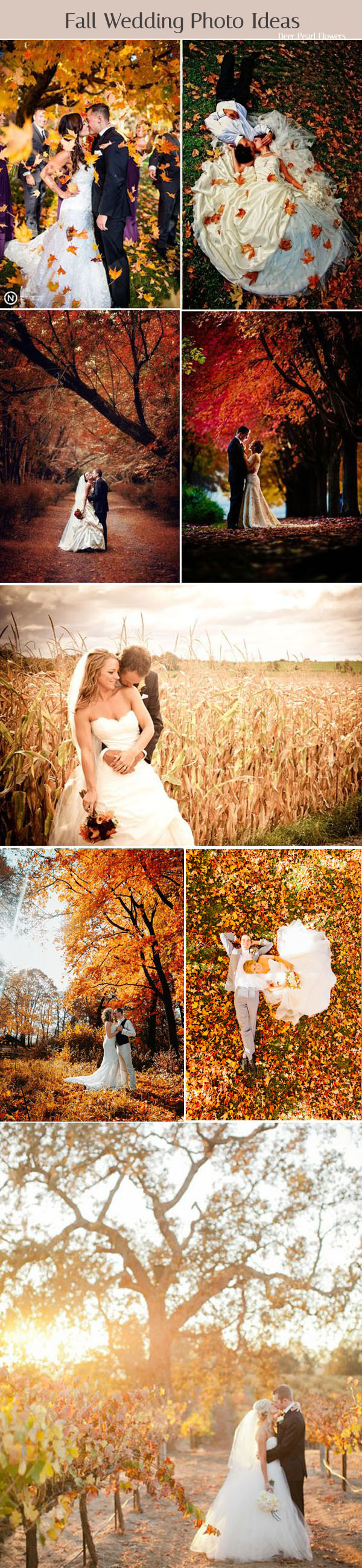 Fall wedding photo ideas