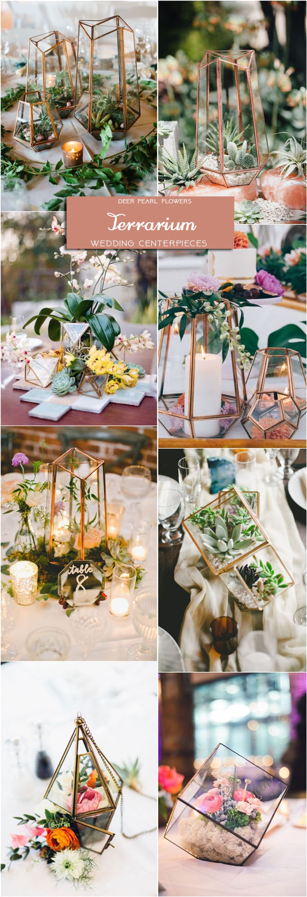 geometric terrarium wedding centerpieces