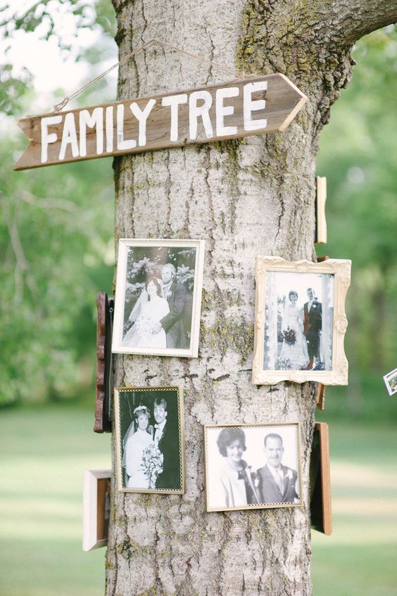 Top 14 Awesome Tips For An Outdoor Wedding 7 vintage family tree