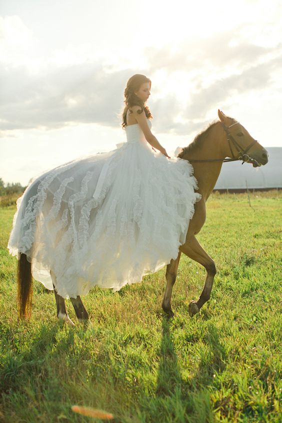 Bride on a horse wedding photo