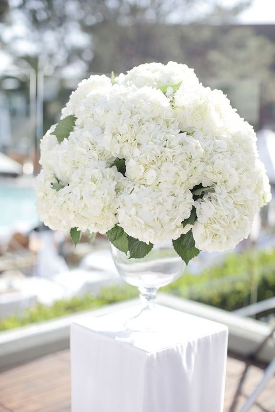 white hydrangea wedding flowers