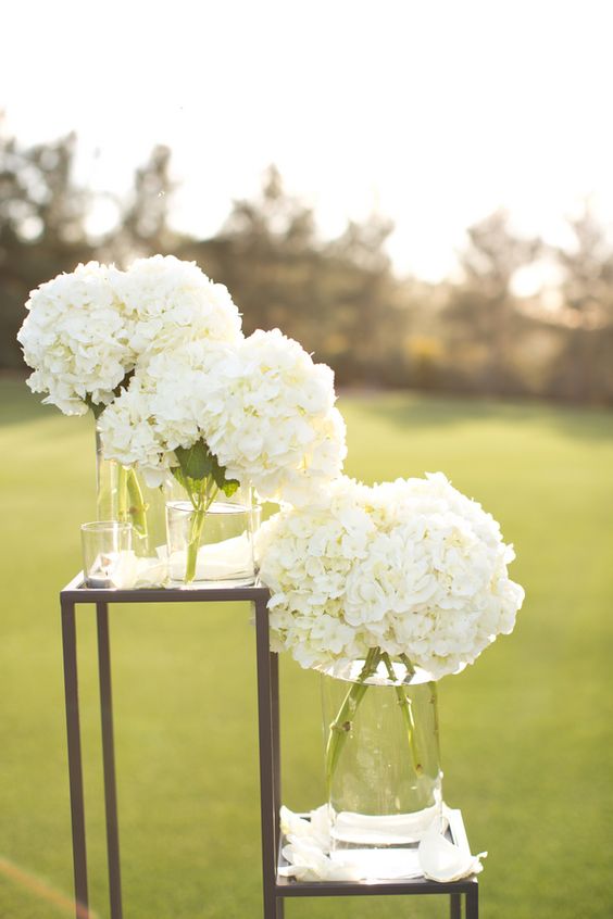 white hydrangea wedding flowers