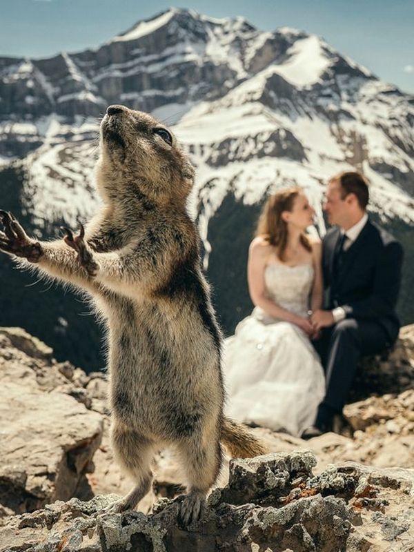 Mountain wedding photography ideas