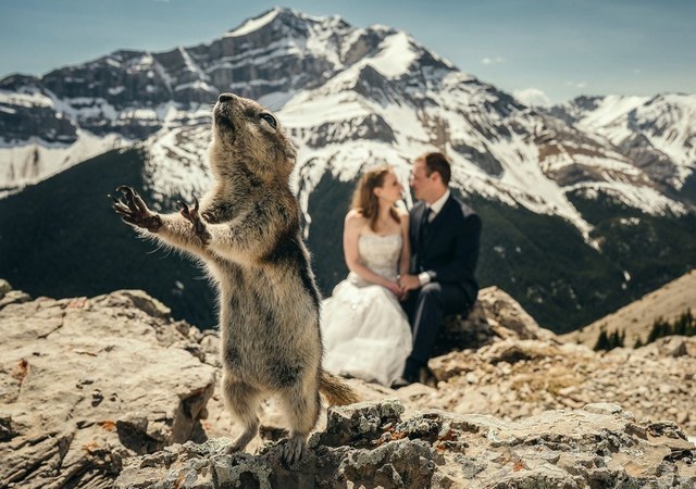 Mountain wedding photography ideas