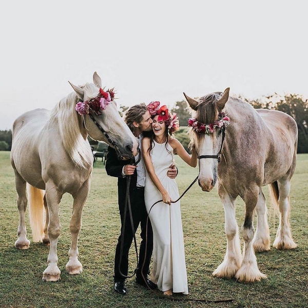 Wedding photography ideas with animals, pets, dogs