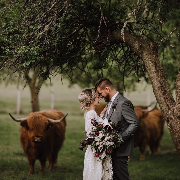 Wedding photography ideas with animals, pets, dogs