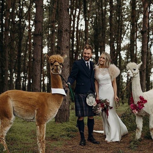 Wedding photography ideas with animals, pets, dogs