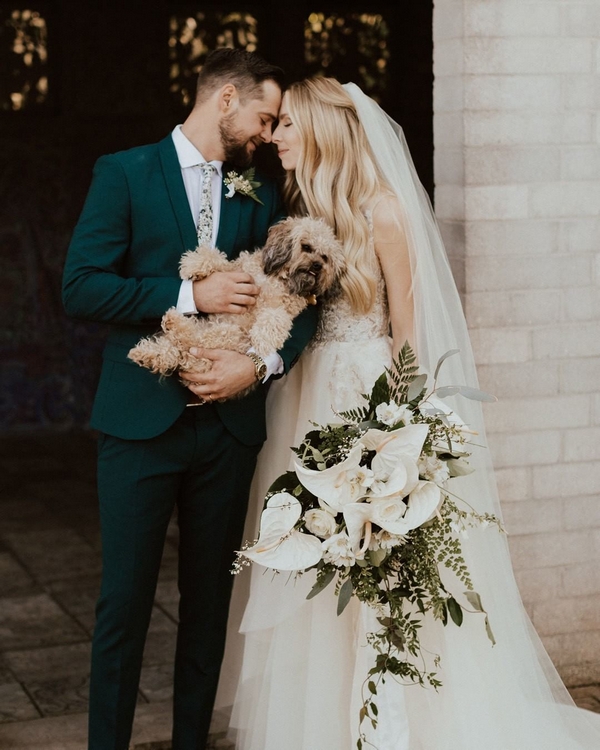 Wedding photography ideas with animals, pets, dogs