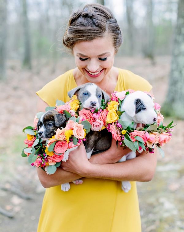 Wedding photography ideas with animals, pets, dogs