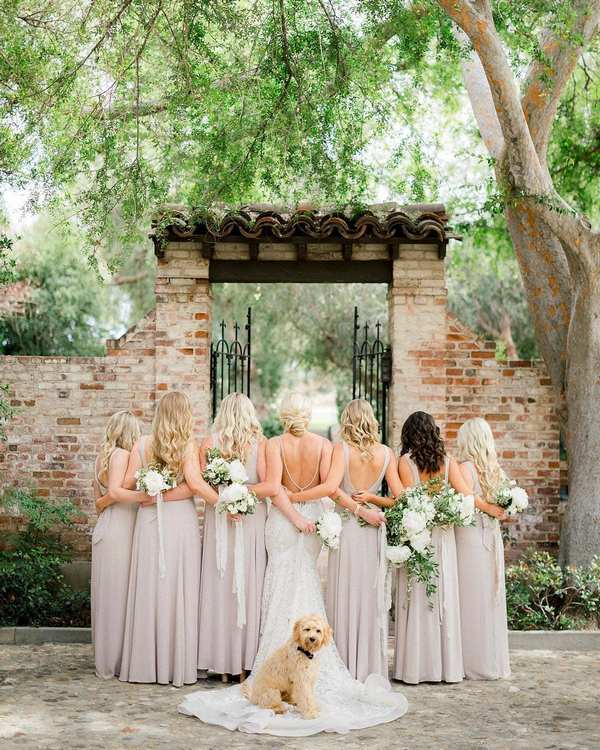 Wedding photography ideas with animals, pets, dogs