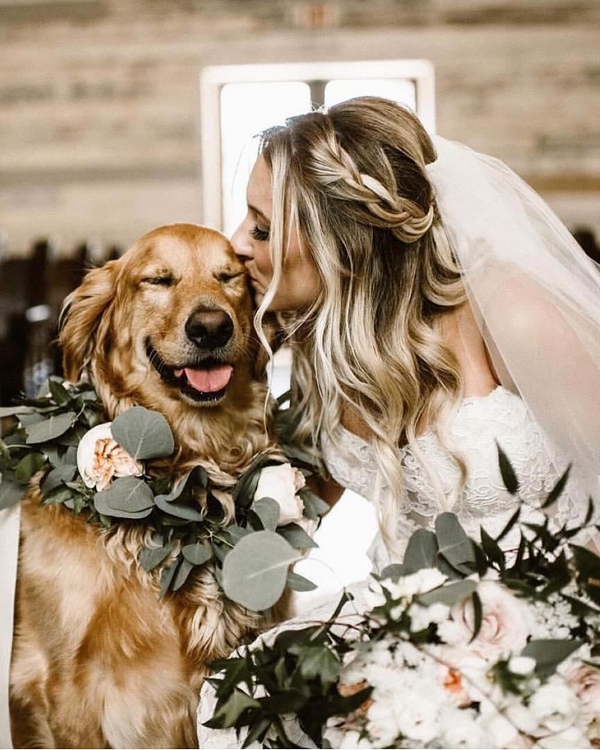 Wedding photography ideas with animals, pets, dogs