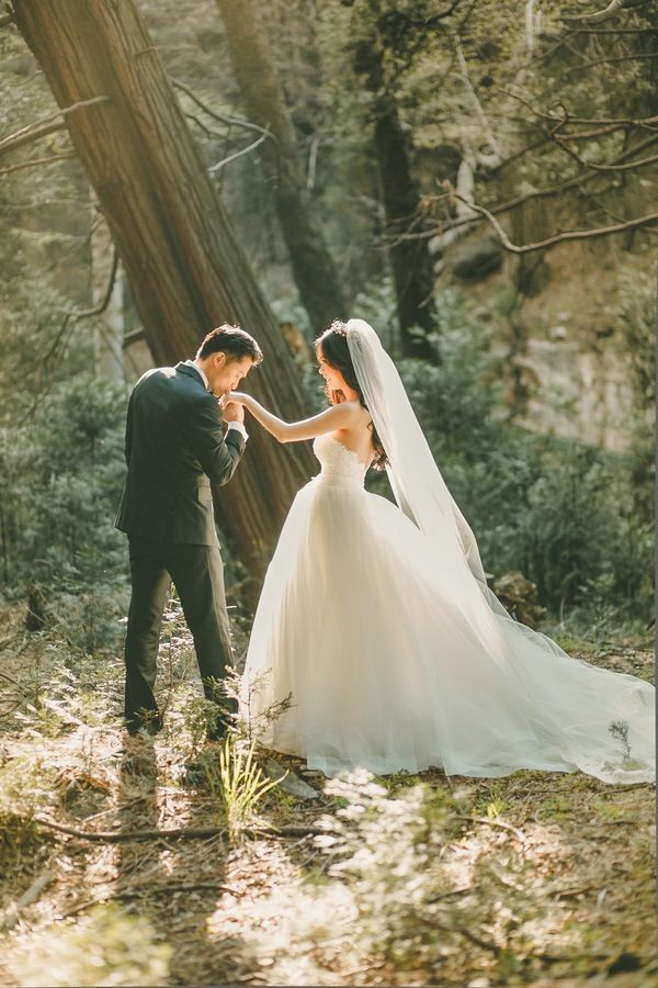 magic wedding portraits in the woods