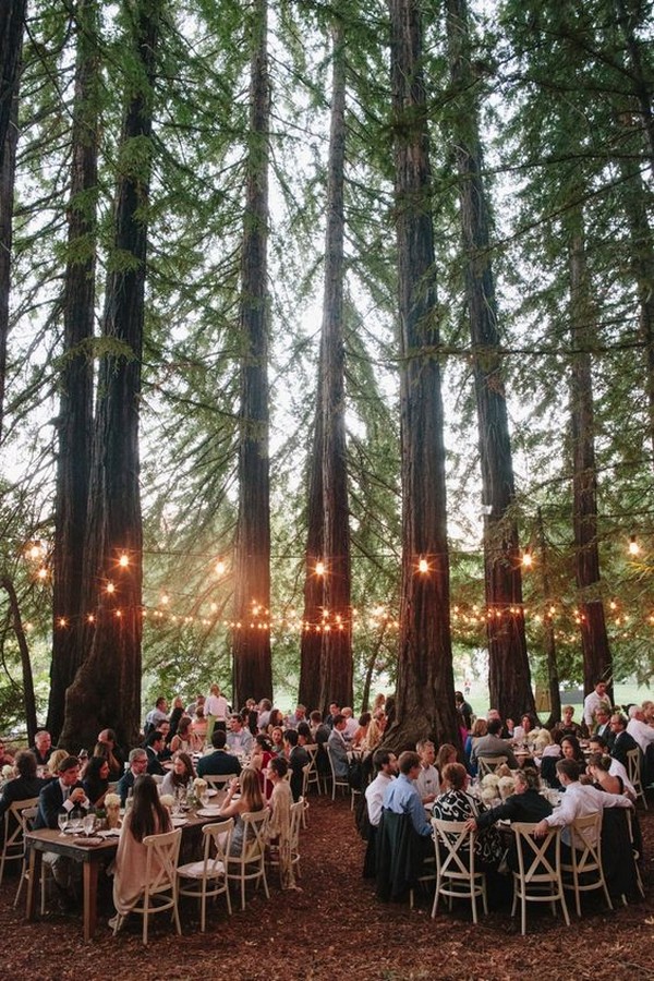 stunning wedding reception ideas with lights in the forest