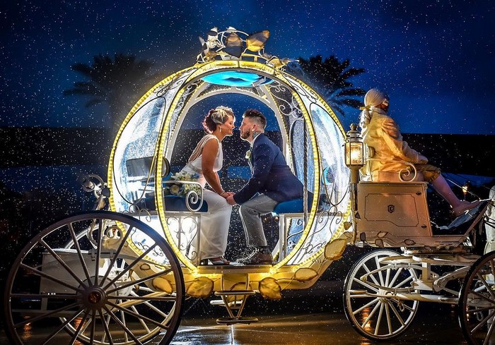 Disney Wedding Photo Shoot Ideas