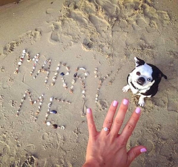 Marriage Proposal Ideas