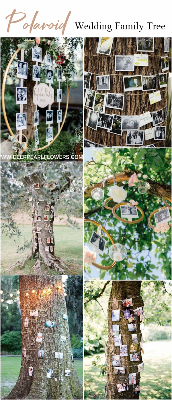 Polaroid family tree wedding photo display ideas