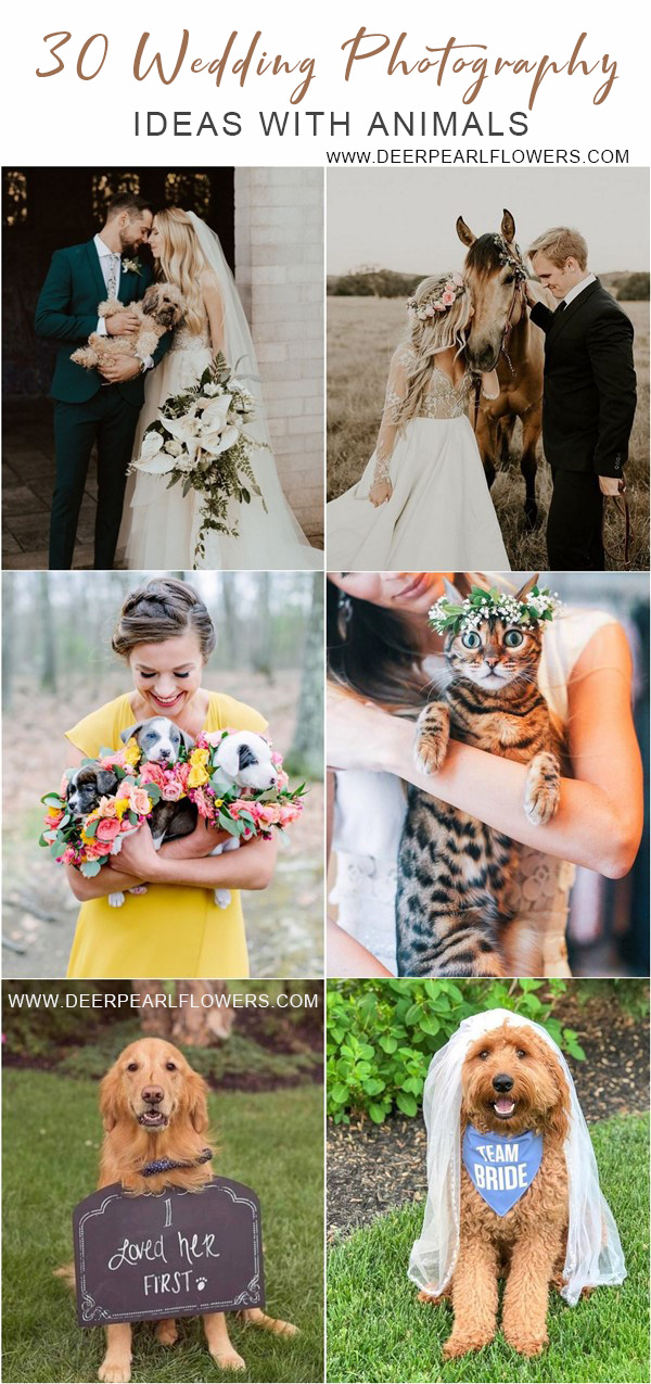Wedding photography ideas with animals, pets, dogs, cats 
