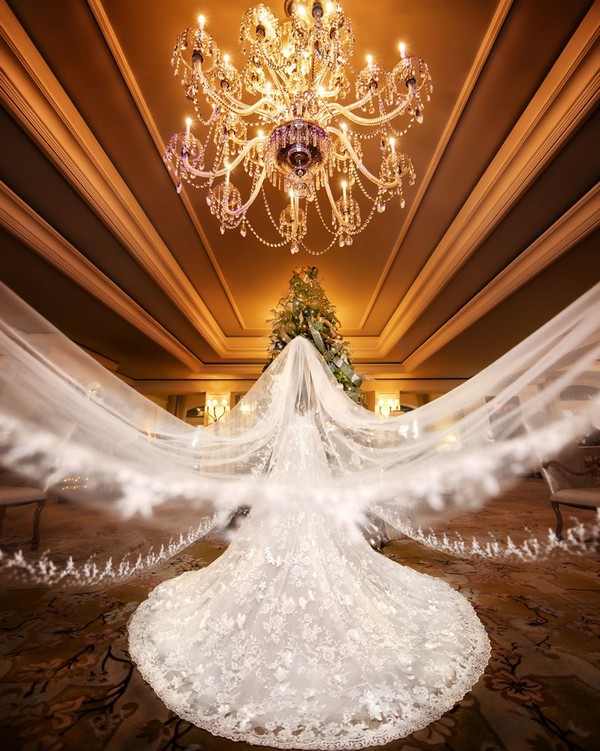 Romantic Wedding Photo Ideas with Your Bridal Veil 