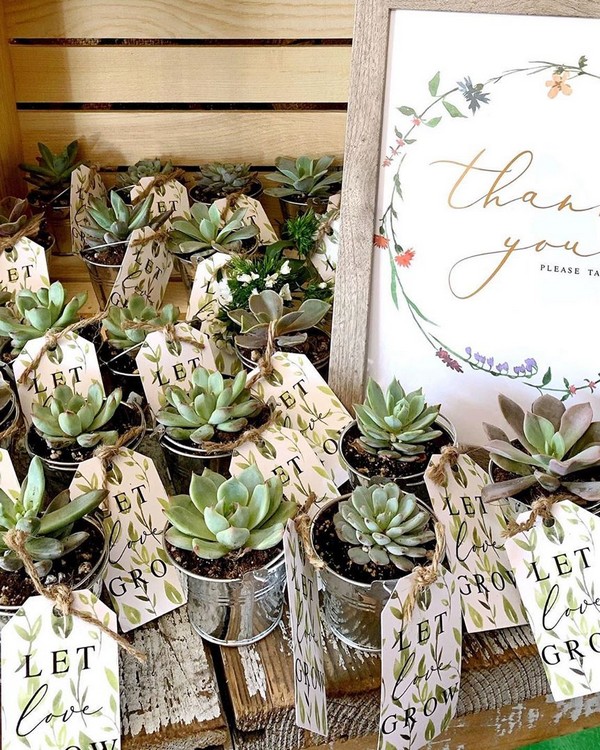 greenery succulent wedding favors