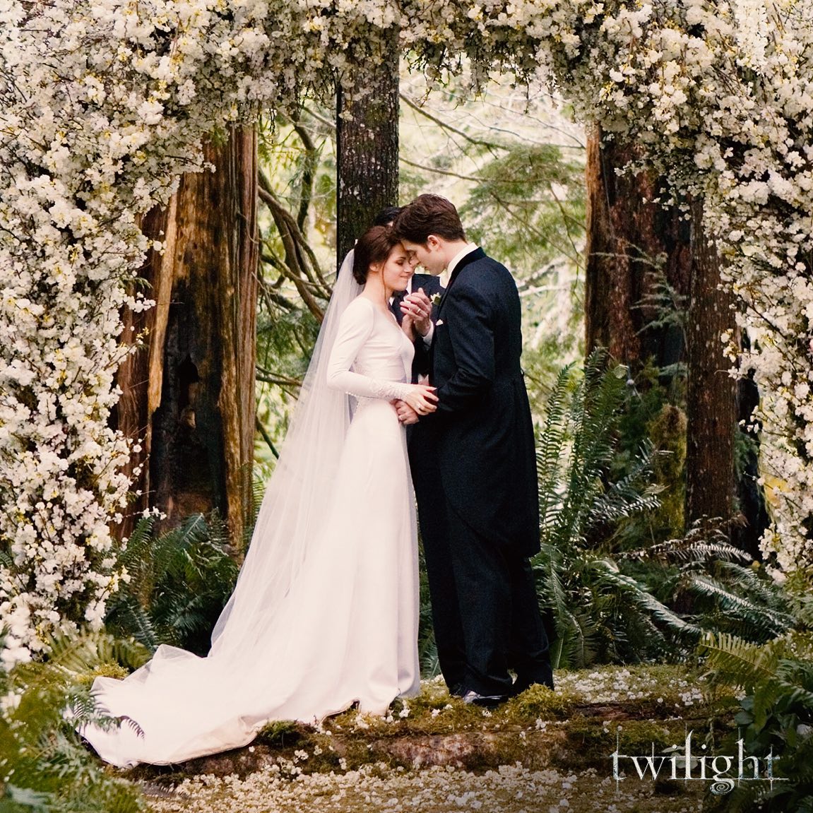 Twilight wedding in forest