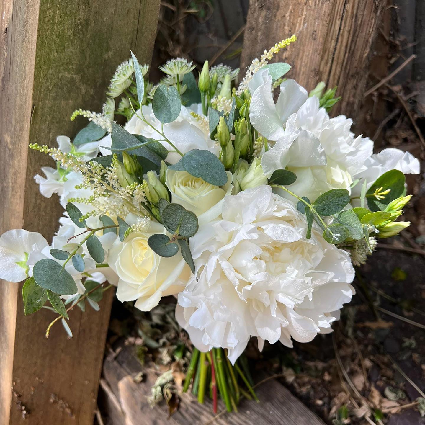 simple white peony and eucalyptus wedding bouqets via eventhheavenevents