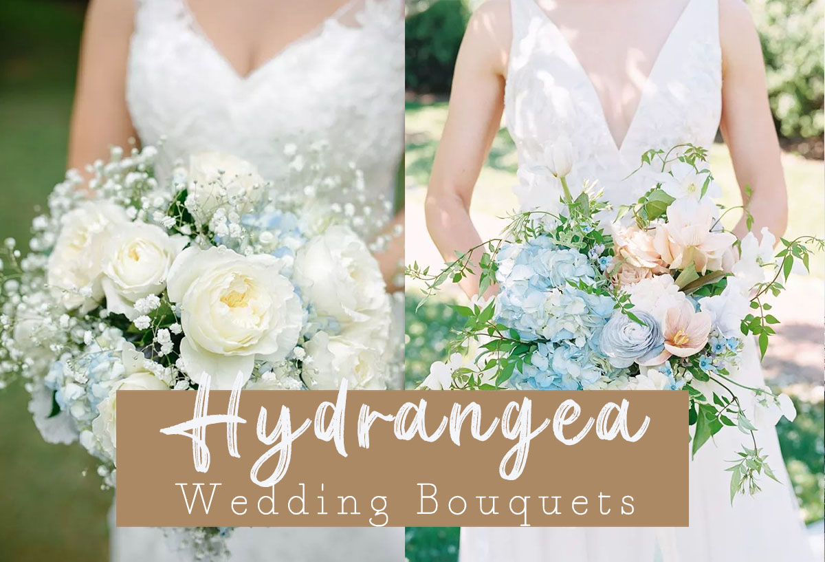 hydrangea wedding bouquets