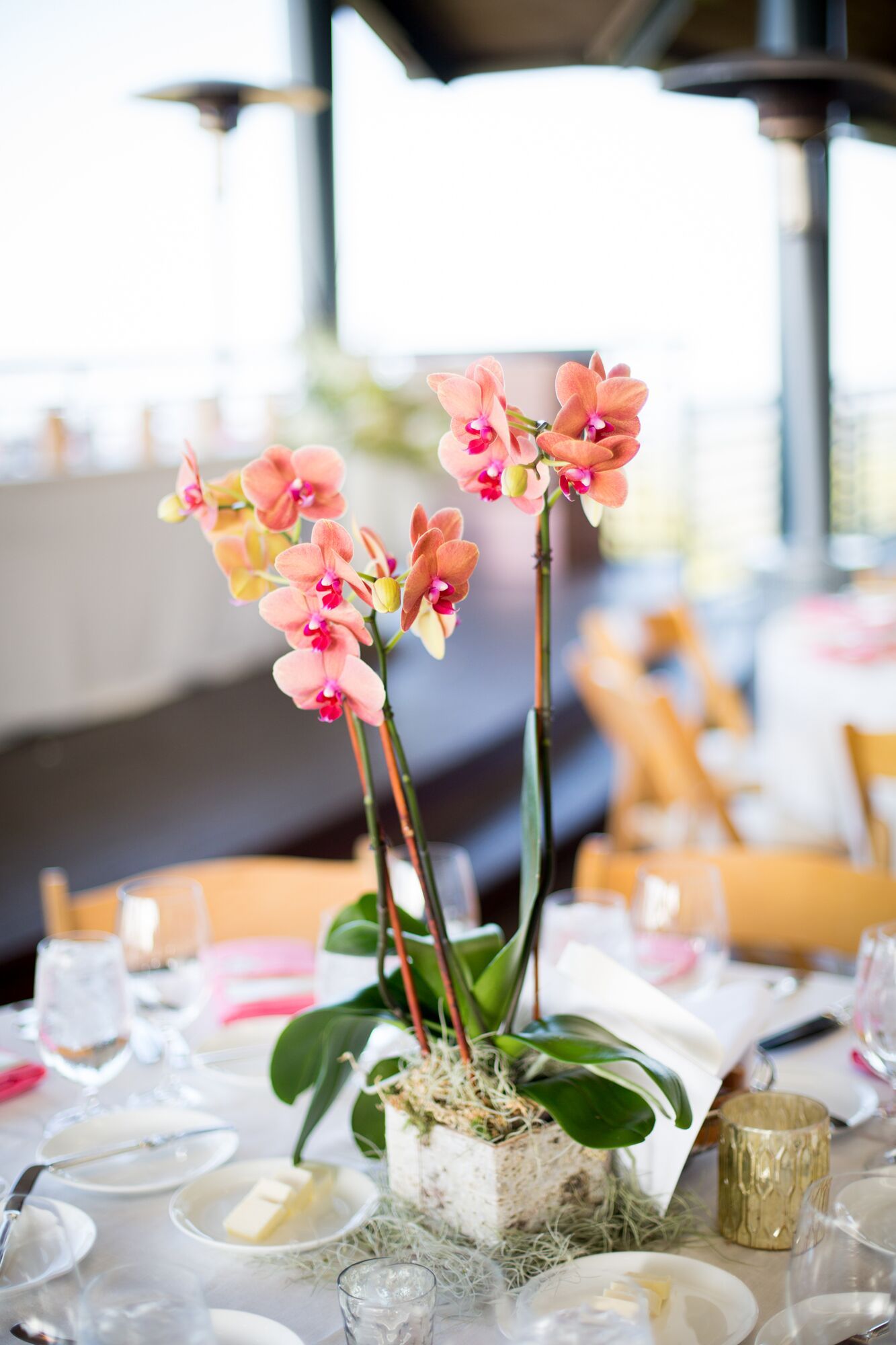 Bright Pink Orchid Wedding Centerpiece