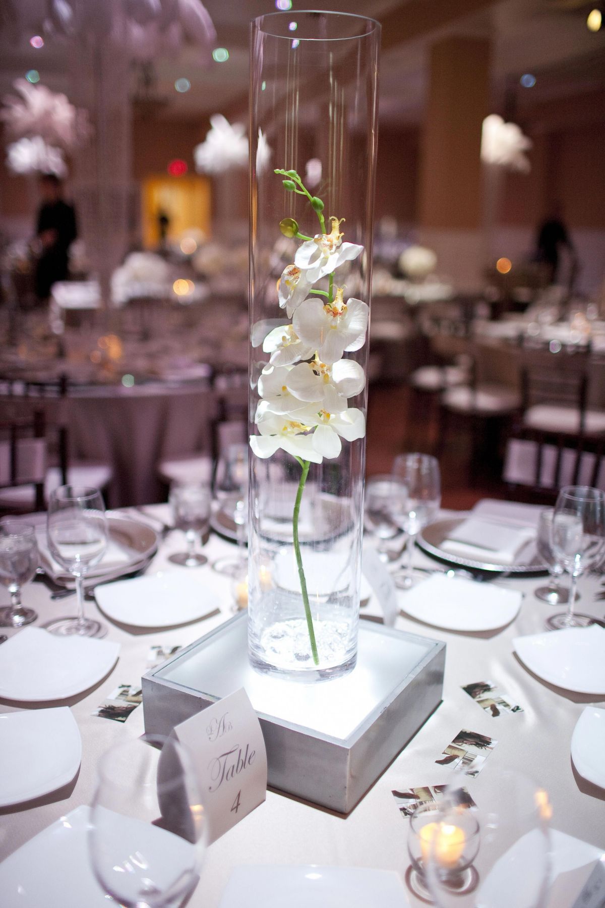 simple orchid and tall cylinder vases wedding centerpiece