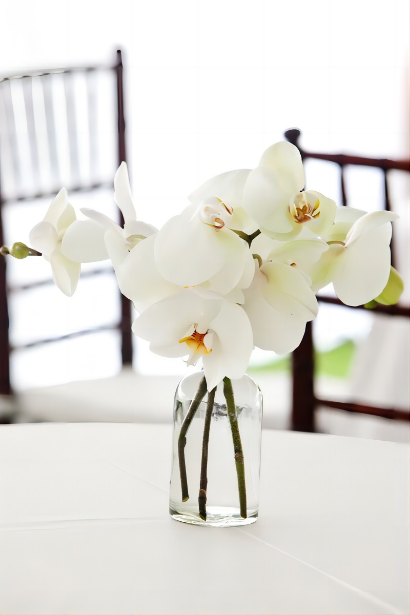 simple orchid wedding centerpiece
