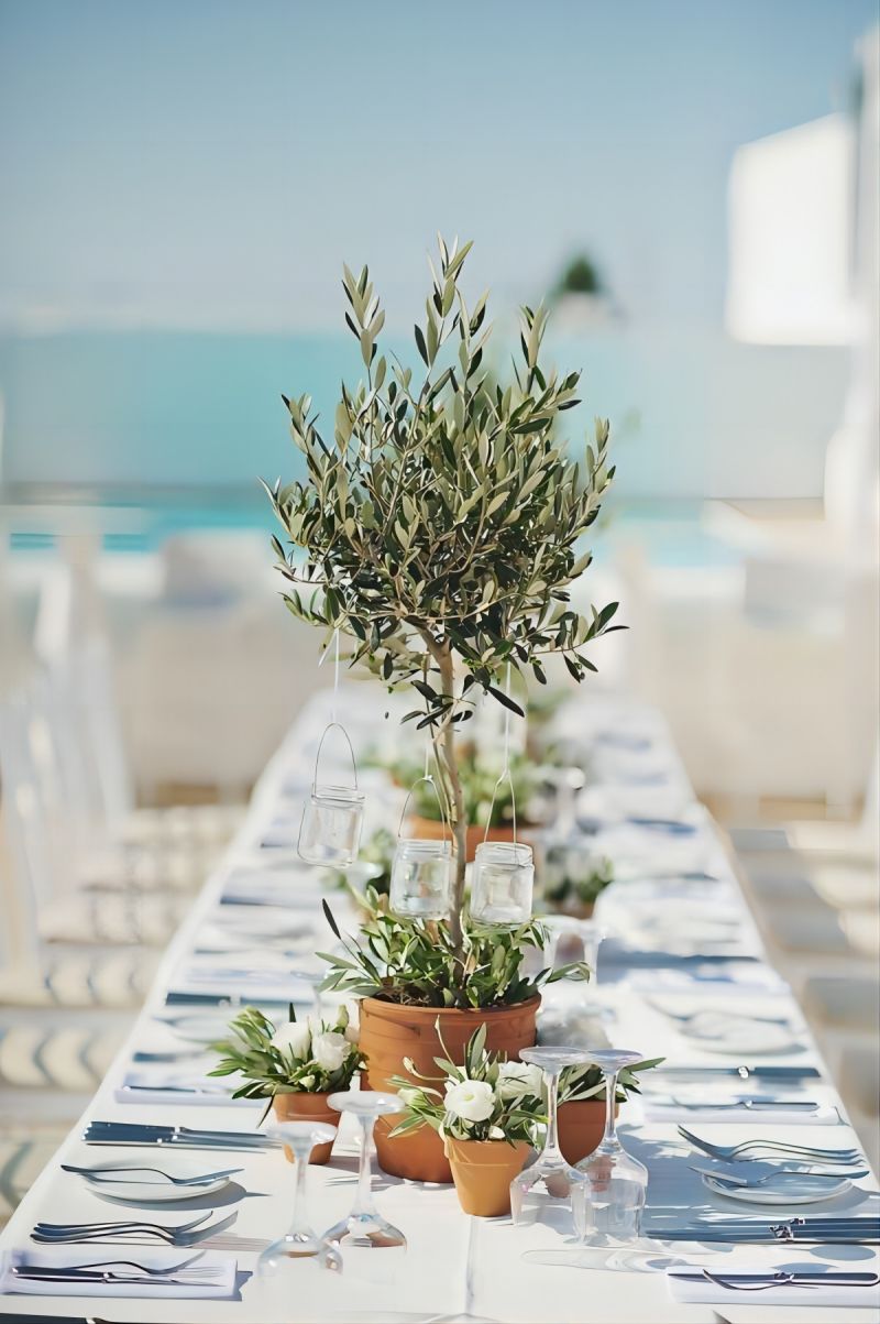 potted olive trees wedding centerpiece