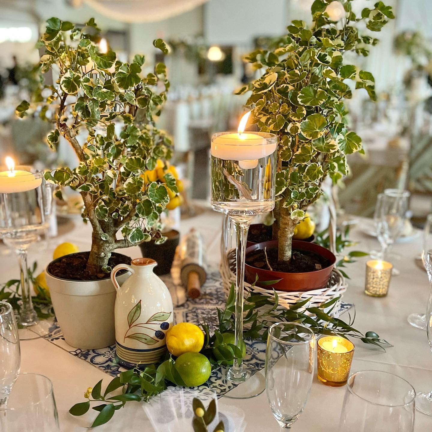potted plant tree wedding centerpiece via eventsbyrmp