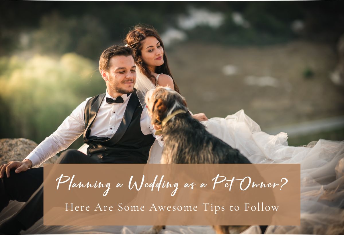 Planning a Wedding as a Pet Owner